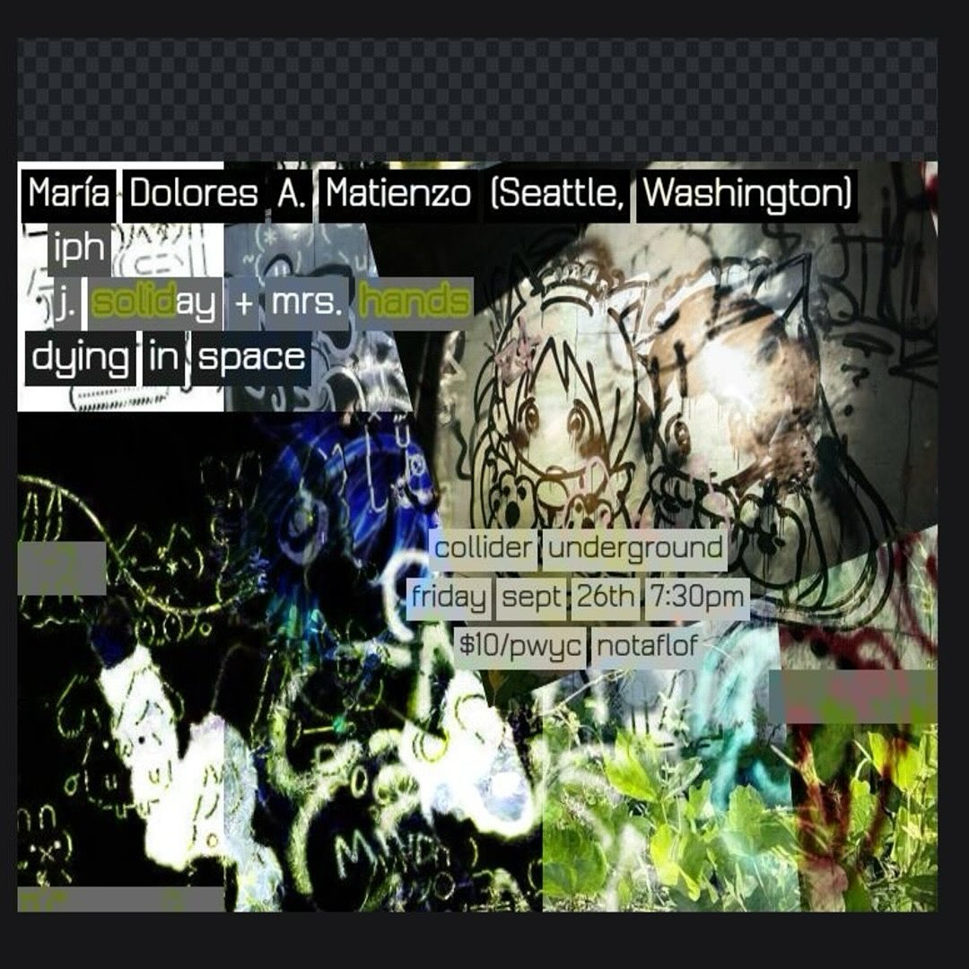 digitally altered collage flyer for show. text repeats that which is on page